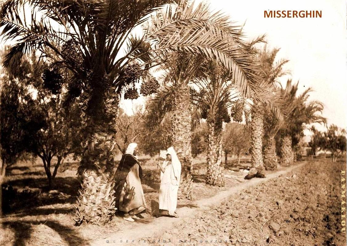 Misseghin 521.jpg